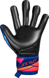 Reusch Attrakt Infinity Evolution NC 5670725 4127 blau back